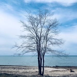 Meet your Posher, Lynne